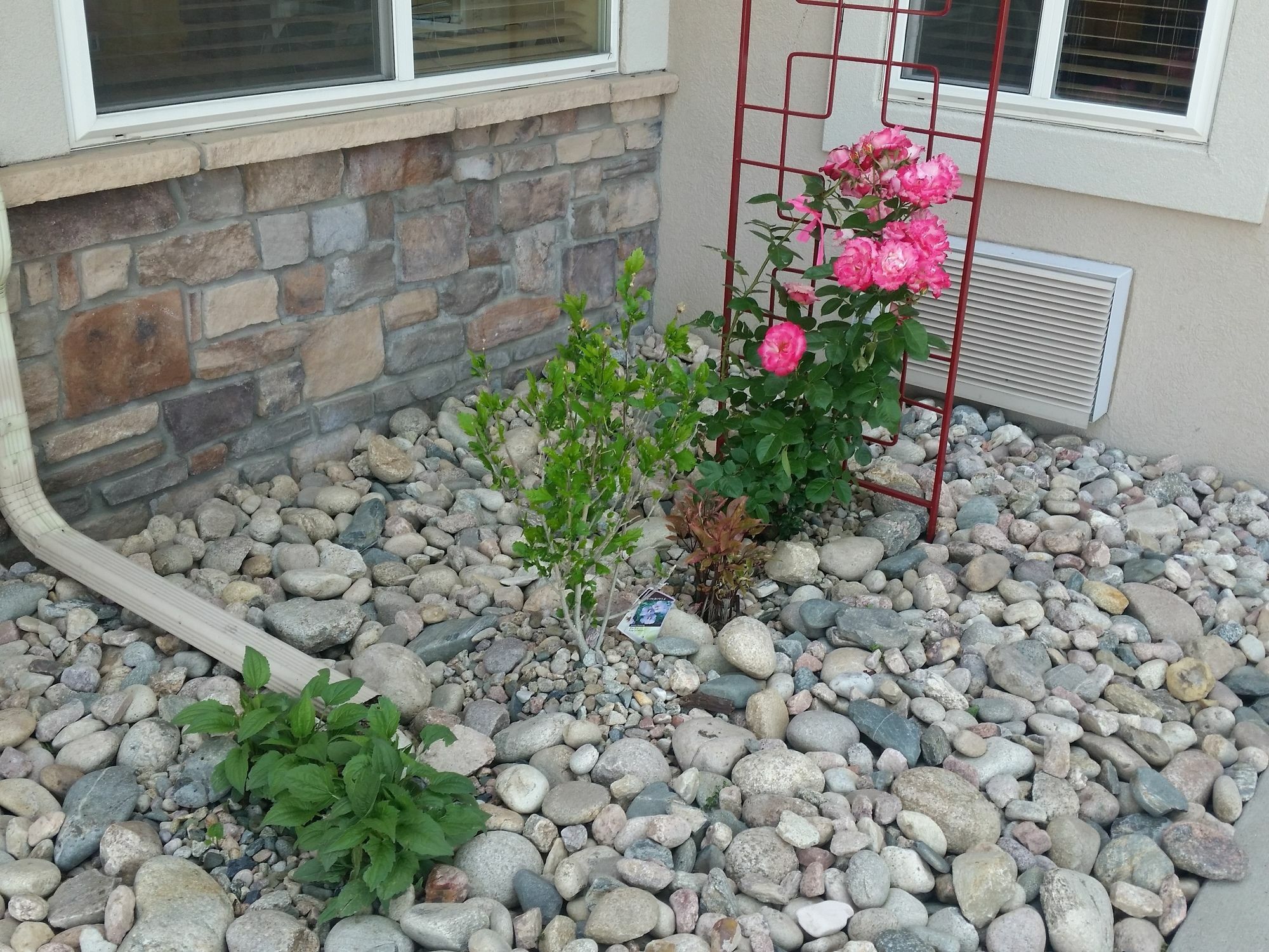 Comfort Inn Fort Collins North Bagian luar foto