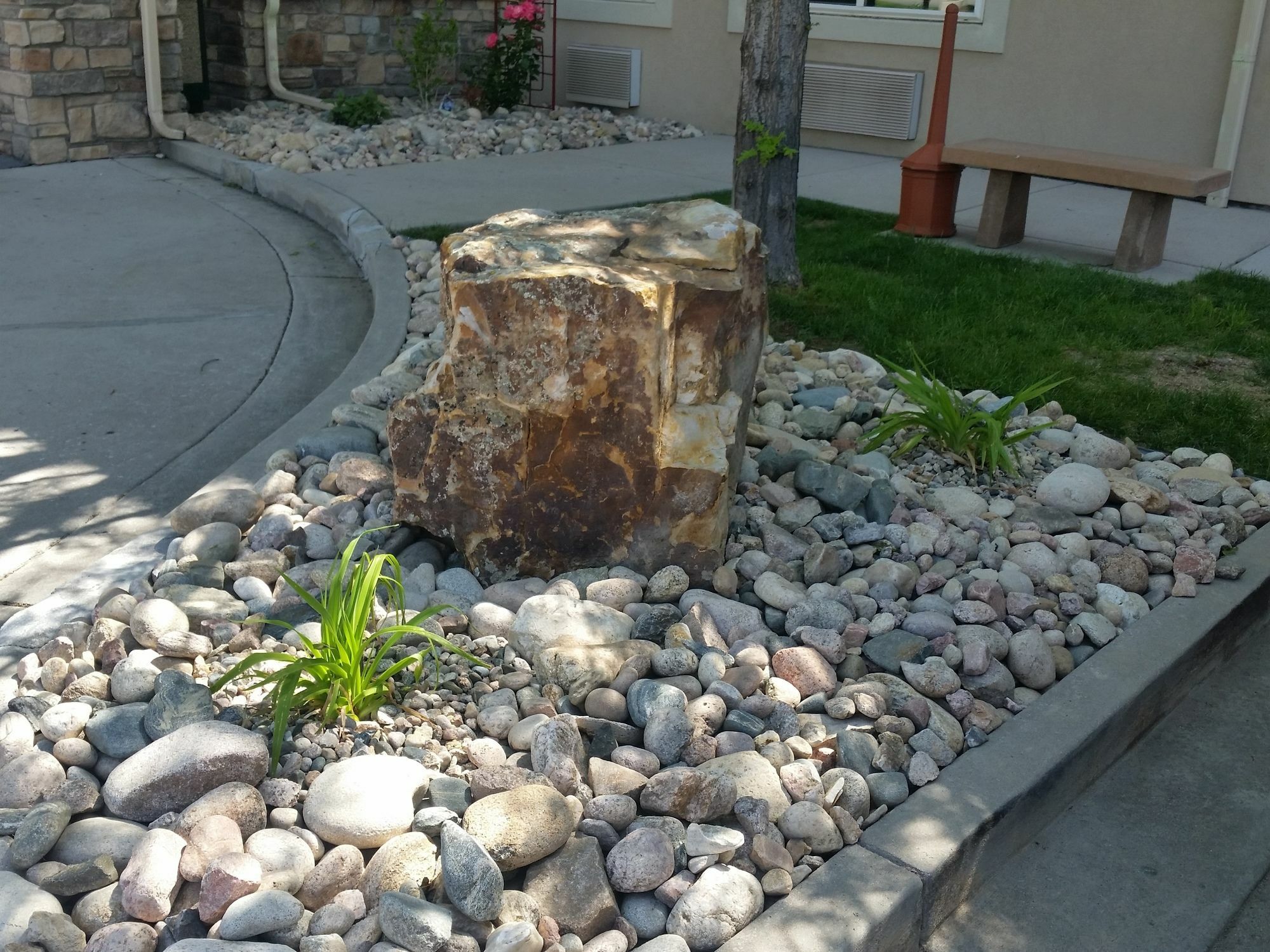 Comfort Inn Fort Collins North Bagian luar foto
